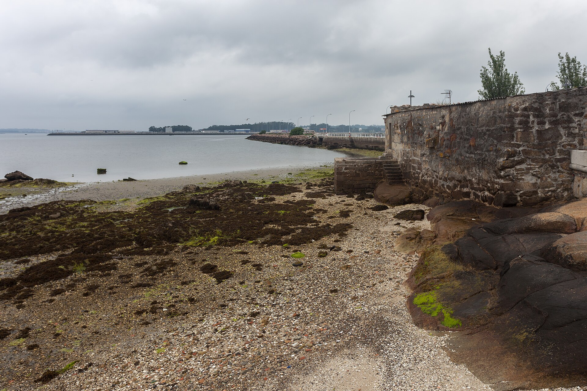 Puerto de Cambados con barcos tradicionales, en la Ría de Arousa