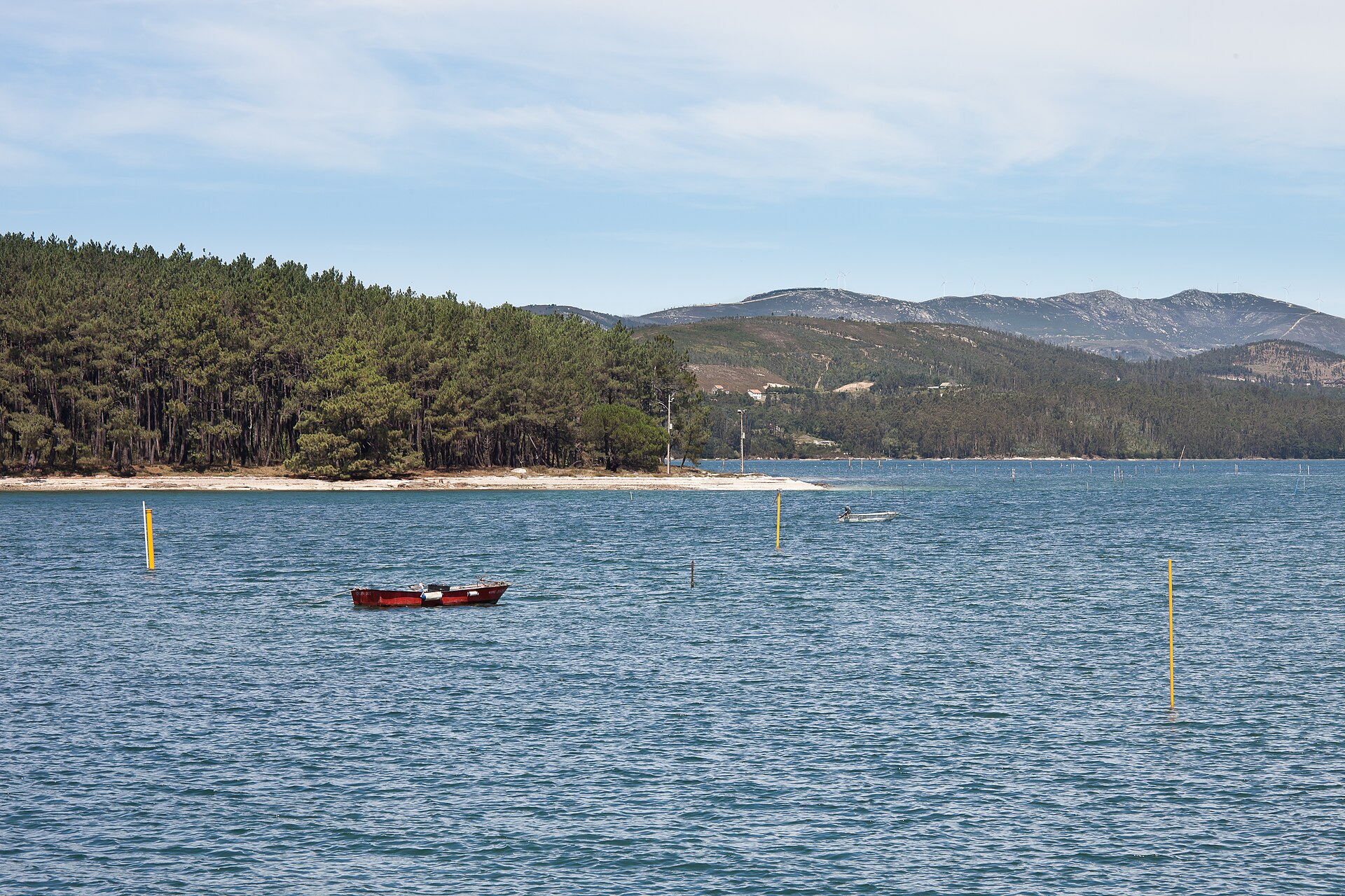 La Illa de Cortegada vista desde la costa de O Carril, con la ría en calma